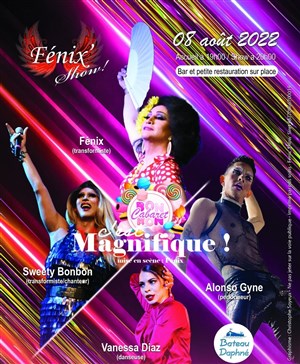 Affiche de C'est magnifique !