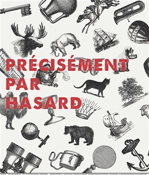 Affiche de Précisément par hasard