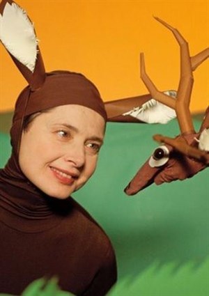 Affiche de Bestiaire d'amour | avec Isabella Rossellini