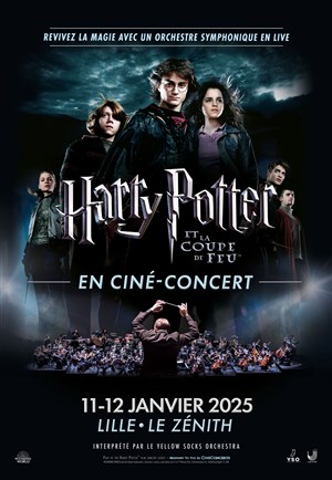 Affiche de Harry Potter et la coupe de Feu en ciné-concert | Lille
