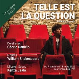 Affiche de Telle est la question