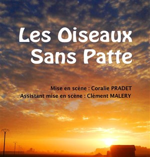 Affiche de Les oiseaux sans patte