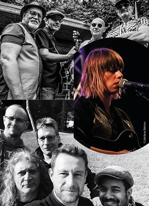 Affiche de Rock and Bashung