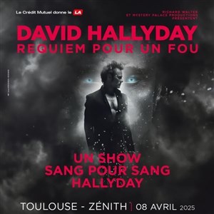 Affiche de David Hallyday : Requiem pour un fou - Toulouse