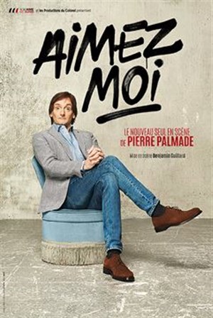 Affiche de Pierre Palmade dans Aimez moi