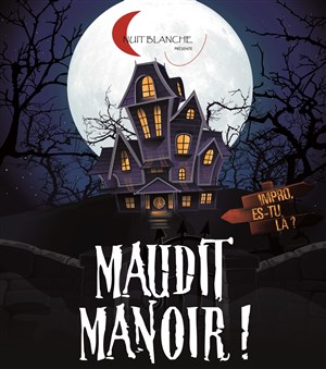 Affiche de Maudit manoir