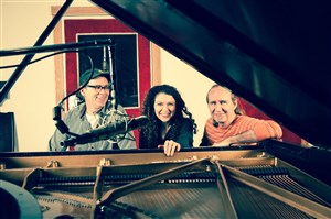 Affiche de Sylvie Courvoisier Trio