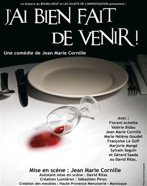 Affiche de J'ai bien fait de venir !