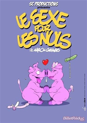 Affiche de Le sexe pour les Nuls