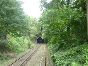 Affiche de Visite guidée : La petite ceinture | Par Philippe