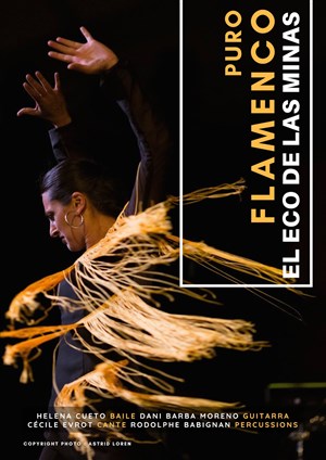 Affiche de Puro Flamenco : El Eco de las Minas