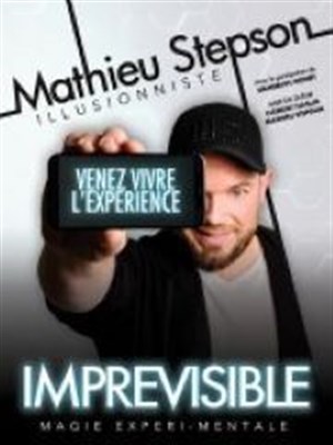 Affiche de Mathieu Stepson dans Imprévisible