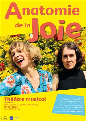 Affiche de Anatomie de la joie