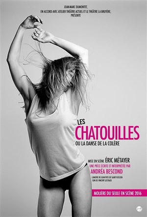 Affiche de Les chatouilles ou la danse de la colère