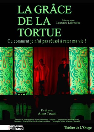 Affiche de La grâce de la tortue ou comment je n'ai pas réussi à rater ma vie