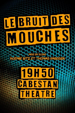 Affiche de Le bruit des mouches
