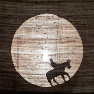 Affiche de Platero est mon ami