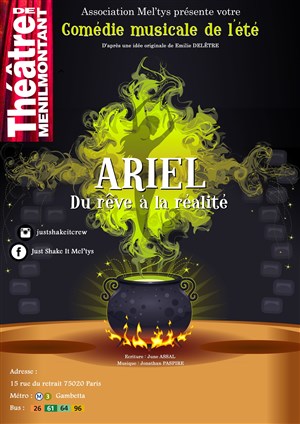 Affiche de Ariel, du rêve à la réalité