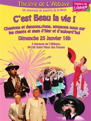 Affiche de C'est beau la vie !