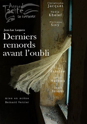 Affiche de Derniers remords avant l'oubli