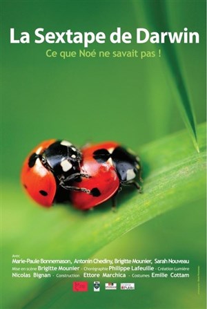 Affiche de La sextape de Darwin