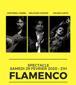 Affiche de Soirée spectacle flamenco