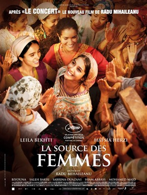 Affiche de La source des femmes