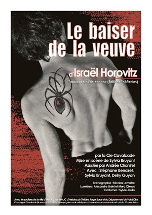 Affiche de Le Baiser de la Veuve