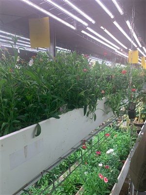 Visite guidée : Une ferme urbaine bio dans les souterrains de Paris | par Interkultur Paris