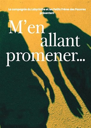 Affiche de M'en allant promener