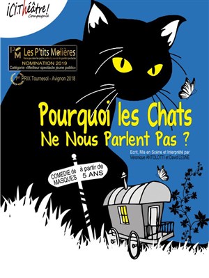 Affiche de Pourquoi les chats ne nous parlent pas ?