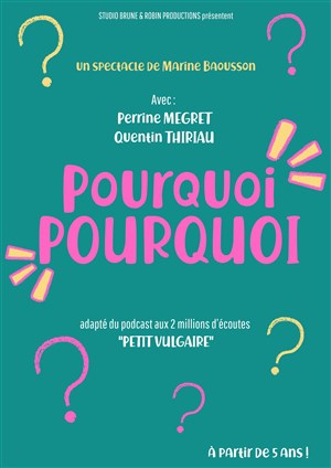 Affiche de Pourquoi ? Pourquoi ?