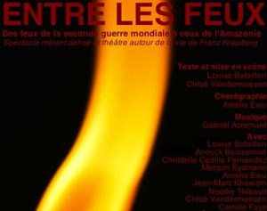 Affiche de Entre les feux