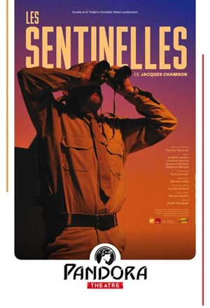 Affiche de Les sentinelles