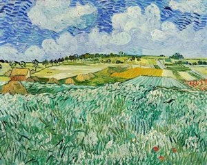 Affiche de Visite guidée : Exposition Van Gogh au Musée d'Orsay