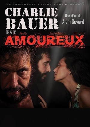 Affiche de Charlie Bauer est amoureux