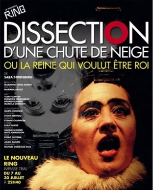 Affiche de Dissection d'une chute de neige ou la Reine qui voulut être Roi