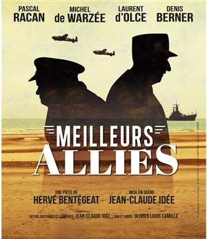 Affiche de Meilleurs Alliés