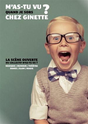 Affiche de M'as-tu vu chez Les Dessous de Ginette ?