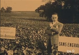 Affiche de Les Raisins de la déraison