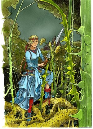 Affiche de La Belle éveillée
