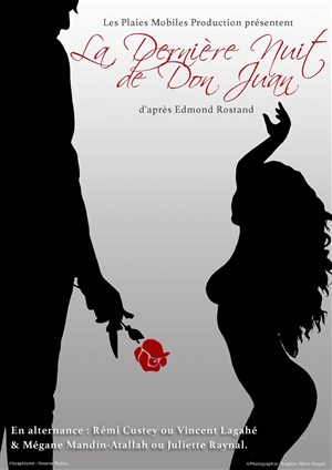 Affiche de La Dernière Nuit de Don Juan