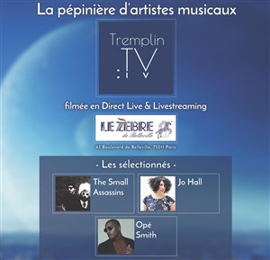 Affiche de Tremplin TV | 2ème émission