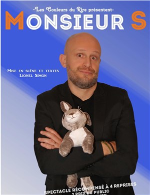 Affiche de Monsieur S dans Comme un cheveu sur la soupe