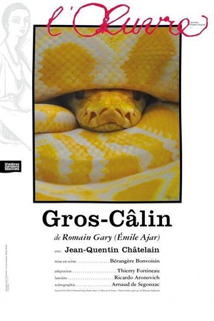 Affiche de Gros-Câlin