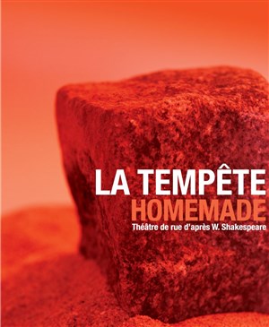 Affiche de La tempête homemade