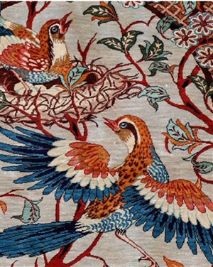 Affiche de Paysages d'oiseaux
