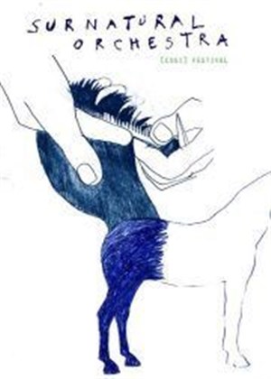 Affiche de Festival Surnatural Orchestra