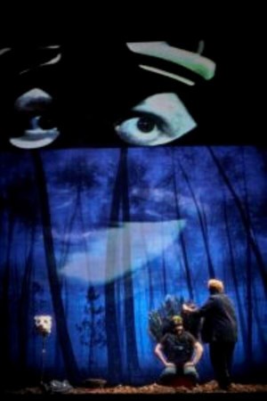 Affiche de Le temps des fins