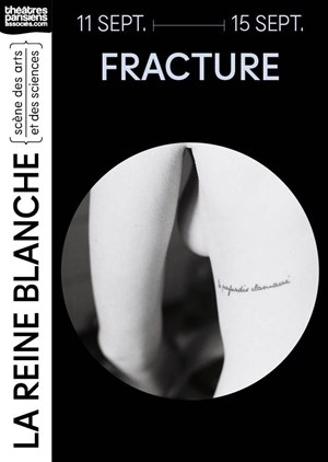 Affiche de Fracture